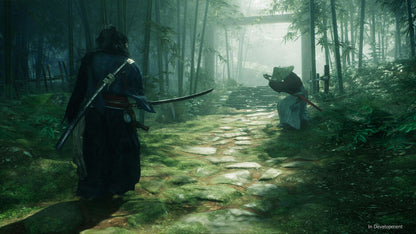 Playstation 5 - L'ascesa del Ronin